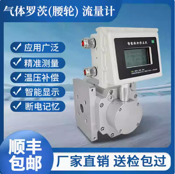 LLQ-40氣體羅茨腰輪流量計(jì)...