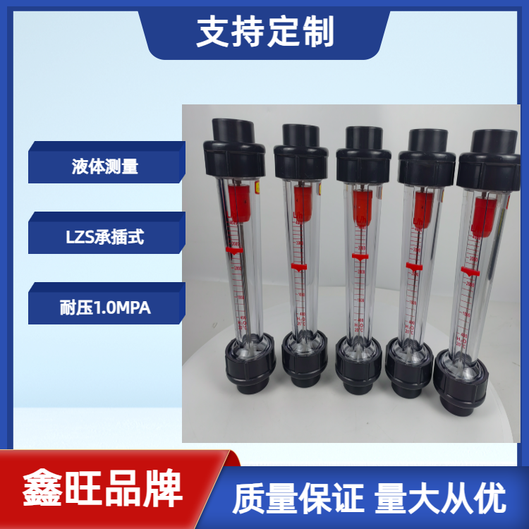 LZS-40塑料管浮子流量計...